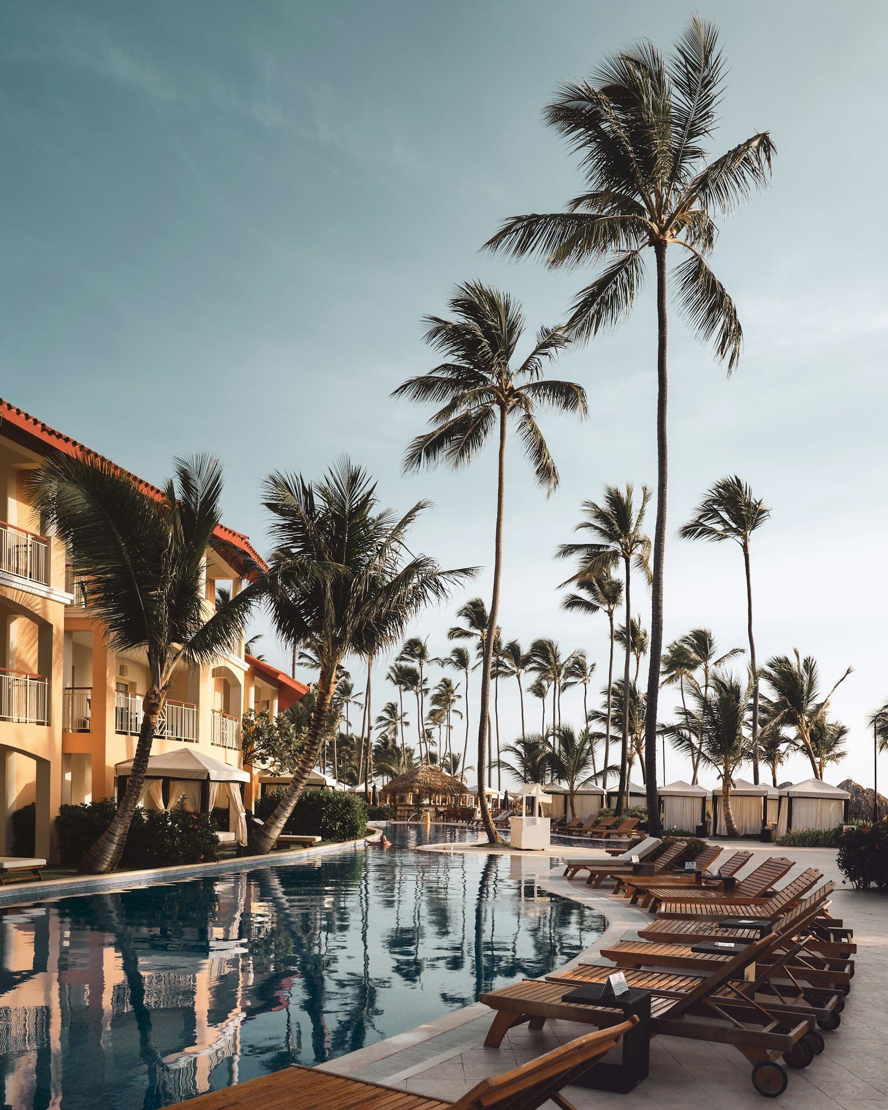 Illustrative image: shared pool and loungers below palm trees