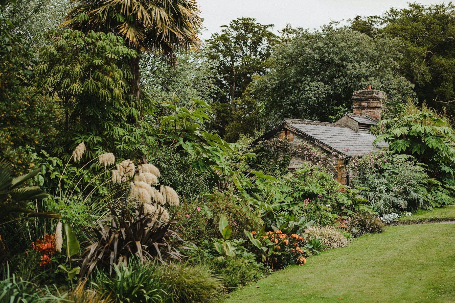Illustrative image: house surrounded by green trees and flowers